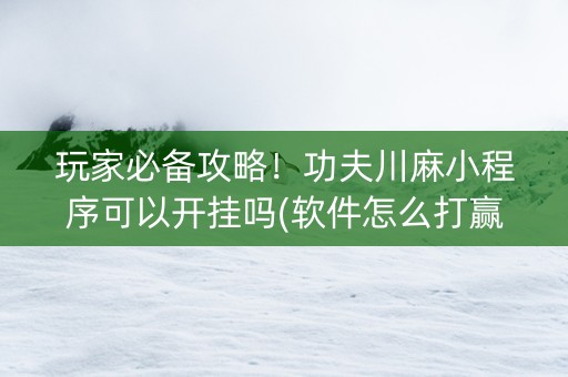 玩家必备攻略！功夫川麻小程序可以开挂吗(软件怎么打赢)