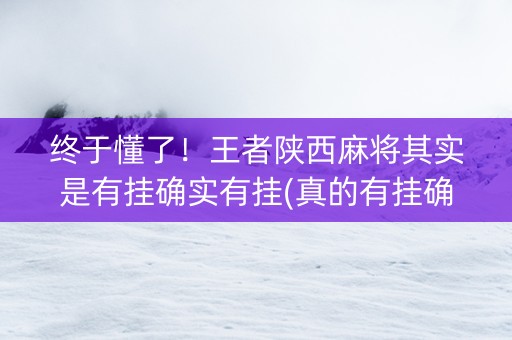 终于懂了！王者陕西麻将其实是有挂确实有挂(真的有挂确实有挂)