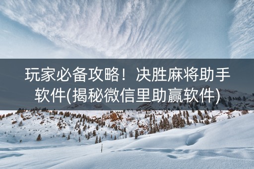 玩家必备攻略！决胜麻将助手软件(揭秘微信里助赢软件)