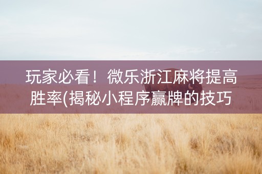 玩家必看！微乐浙江麻将提高胜率(揭秘小程序赢牌的技巧)