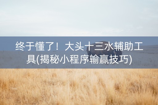 终于懂了！大头十三水辅助工具(揭秘小程序输赢技巧)