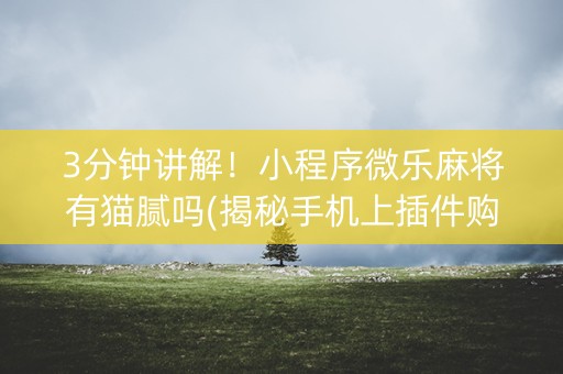 3分钟讲解！小程序微乐麻将有猫腻吗(揭秘手机上插件购买)