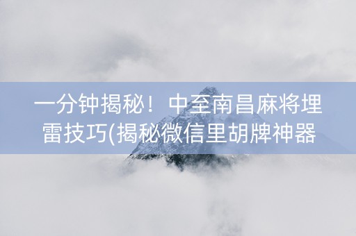 一分钟揭秘！中至南昌麻将埋雷技巧(揭秘微信里胡牌神器)