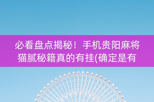 必看盘点揭秘！手机贵阳麻将猫腻秘籍真的有挂(确定是有挂)