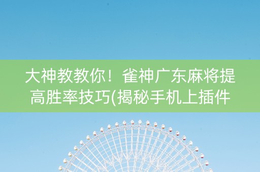 大神教教你！雀神广东麻将提高胜率技巧(揭秘手机上插件下载)