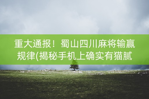 重大通报！蜀山四川麻将输赢规律(揭秘手机上确实有猫腻)