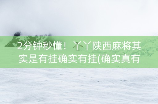 2分钟秒懂！丫丫陕西麻将其实是有挂确实有挂(确实真有挂)
