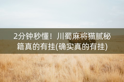 2分钟秒懂！川蜀麻将猫腻秘籍真的有挂(确实真的有挂)