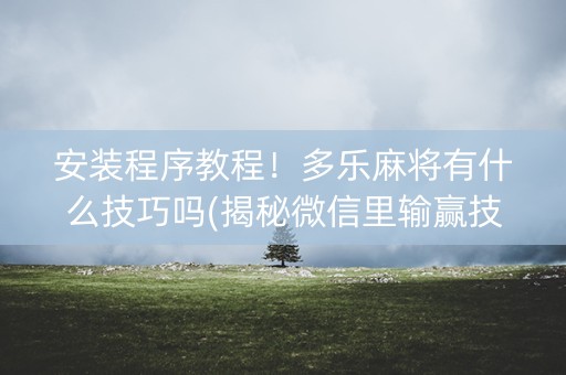 安装程序教程！多乐麻将有什么技巧吗(揭秘微信里输赢技巧)