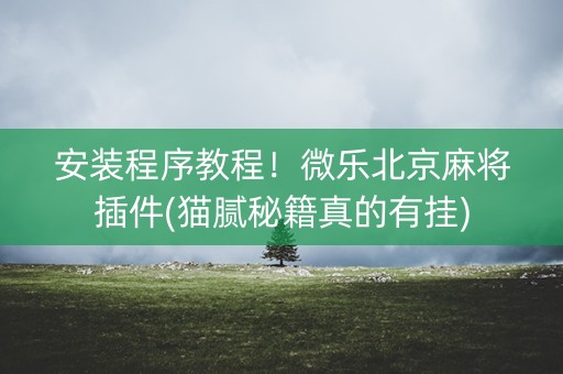 安装程序教程！微乐北京麻将插件(猫腻秘籍真的有挂)