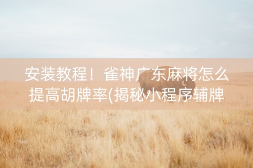 安装教程！雀神广东麻将怎么提高胡牌率(揭秘小程序辅牌器)