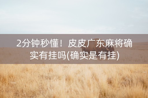 2分钟秒懂！皮皮广东麻将确实有挂吗(确实是有挂)