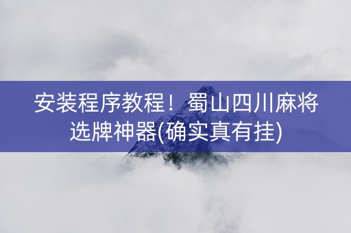 安装程序教程！蜀山四川麻将选牌神器(确实真有挂)
