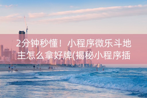 2分钟秒懂！小程序微乐斗地主怎么拿好牌(揭秘小程序插件免费)