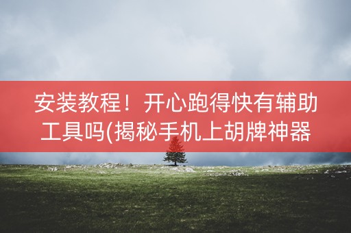 安装教程！开心跑得快有辅助工具吗(揭秘手机上胡牌神器)