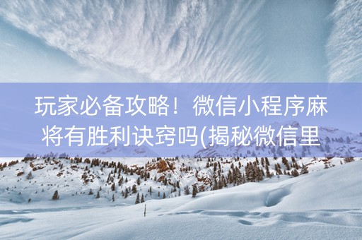 玩家必备攻略！微信小程序麻将有胜利诀窍吗(揭秘微信里输赢规律)