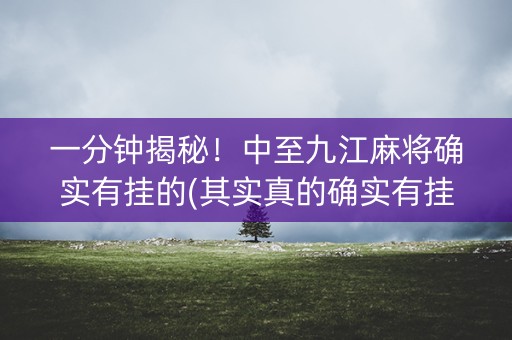 一分钟揭秘！中至九江麻将确实有挂的(其实真的确实有挂)