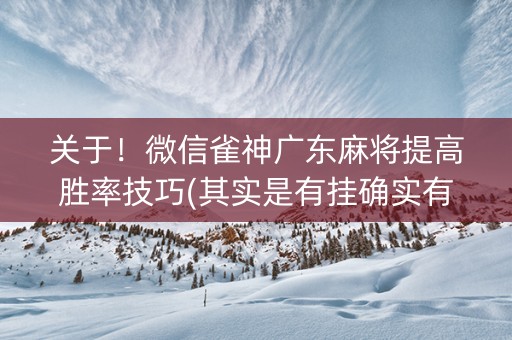 关于！微信雀神广东麻将提高胜率技巧(其实是有挂确实有挂)