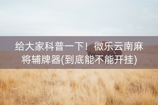 给大家科普一下！微乐云南麻将辅牌器(到底能不能开挂)