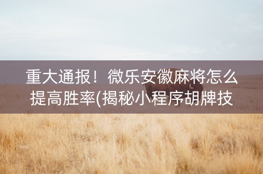 重大通报！微乐安徽麻将怎么提高胜率(揭秘小程序胡牌技巧)