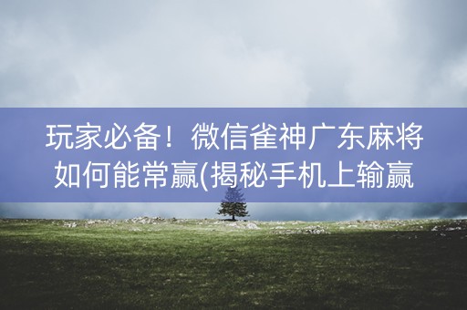 玩家必备！微信雀神广东麻将如何能常赢(揭秘手机上输赢规律)