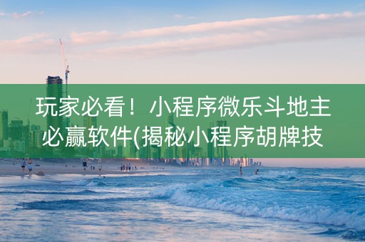 玩家必看！小程序微乐斗地主必赢软件(揭秘小程序胡牌技巧)