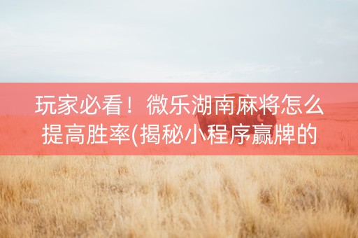 玩家必看！微乐湖南麻将怎么提高胜率(揭秘小程序赢牌的技巧)