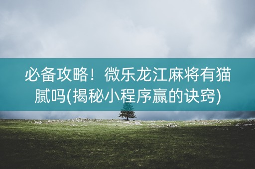 必备攻略！微乐龙江麻将有猫腻吗(揭秘小程序赢的诀窍)
