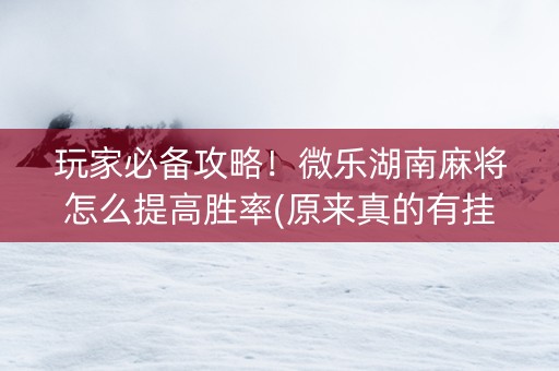 玩家必备攻略！微乐湖南麻将怎么提高胜率(原来真的有挂呢)