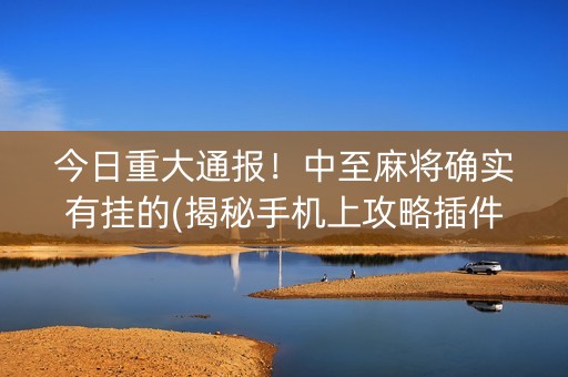 今日重大通报！中至麻将确实有挂的(揭秘手机上攻略插件)