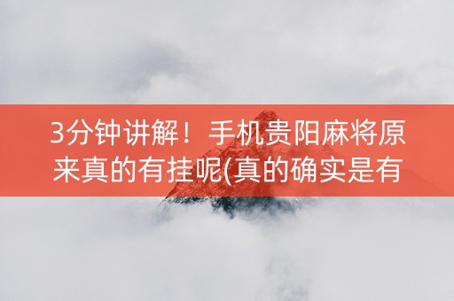 3分钟讲解！手机贵阳麻将原来真的有挂呢(真的确实是有挂)