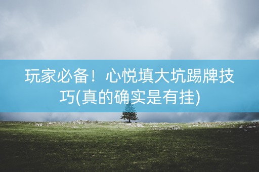 玩家必备！心悦填大坑踢牌技巧(真的确实是有挂)