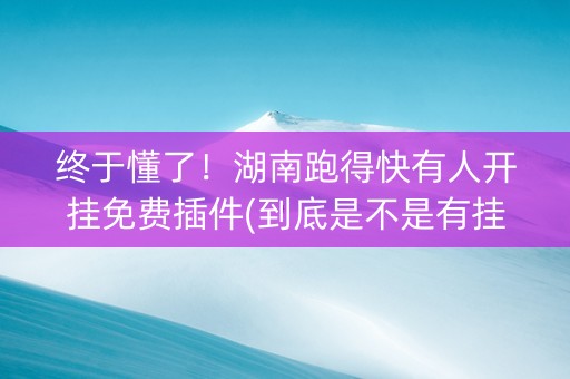 终于懂了！湖南跑得快有人开挂免费插件(到底是不是有挂)