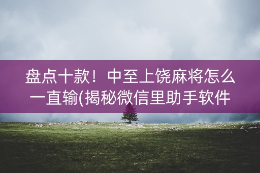 盘点十款！中至上饶麻将怎么一直输(揭秘微信里助手软件)