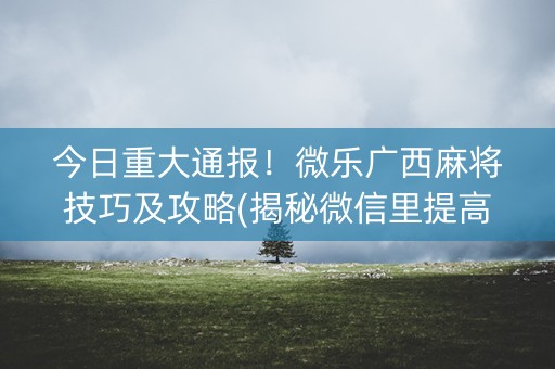 今日重大通报！微乐广西麻将技巧及攻略(揭秘微信里提高胜率)