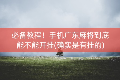 必备教程！手机广东麻将到底能不能开挂(确实是有挂的)