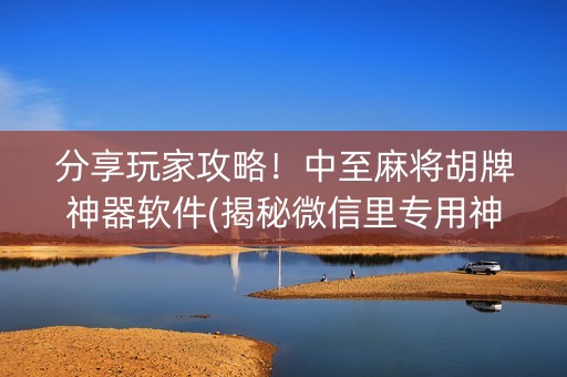 分享玩家攻略！中至麻将胡牌神器软件(揭秘微信里专用神器)