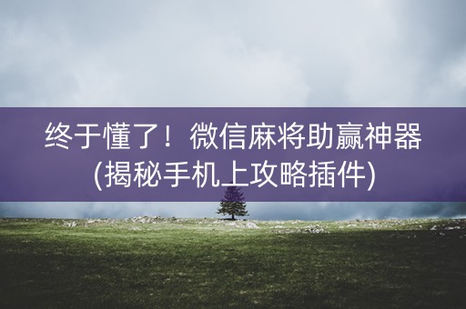 终于懂了！微信麻将助赢神器(揭秘手机上攻略插件)