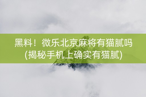 黑料！微乐北京麻将有猫腻吗(揭秘手机上确实有猫腻)