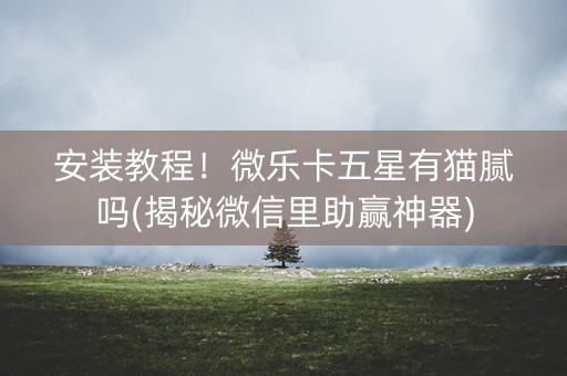 安装教程！微乐卡五星有猫腻吗(揭秘微信里助赢神器)