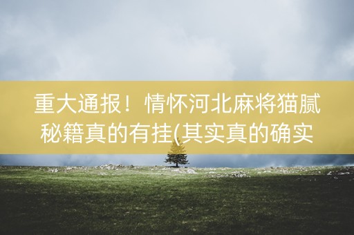 重大通报！情怀河北麻将猫腻秘籍真的有挂(其实真的确实有挂)