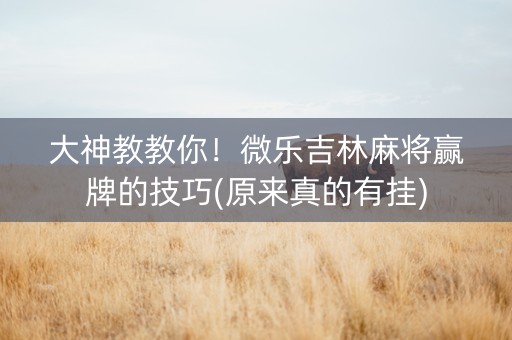 大神教教你！微乐吉林麻将赢牌的技巧(原来真的有挂)