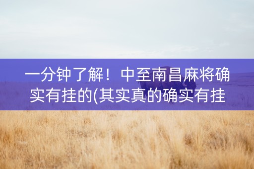 一分钟了解！中至南昌麻将确实有挂的(其实真的确实有挂)