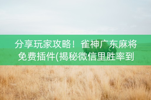 分享玩家攻略！雀神广东麻将免费插件(揭秘微信里胜率到哪调)