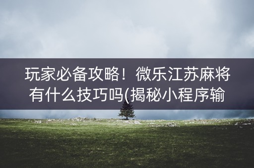 玩家必备攻略！微乐江苏麻将有什么技巧吗(揭秘小程序输赢技巧)