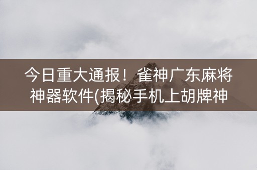 今日重大通报！雀神广东麻将神器软件(揭秘手机上胡牌神器)