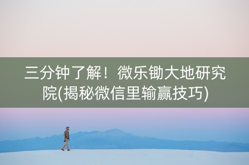 三分钟了解！微乐锄大地研究院(揭秘微信里输赢技巧)