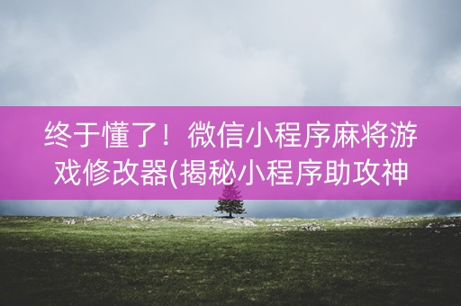 终于懂了！微信小程序麻将游戏修改器(揭秘小程序助攻神器)