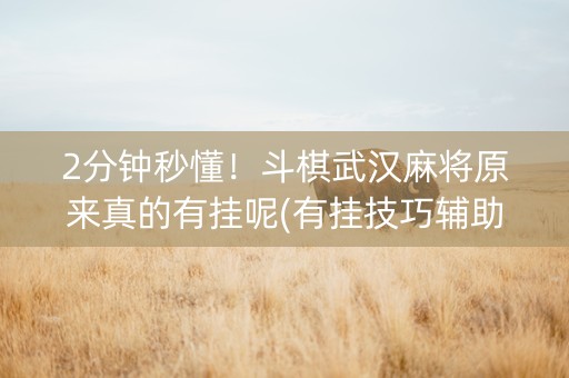 2分钟秒懂！斗棋武汉麻将原来真的有挂呢(有挂技巧辅助器)