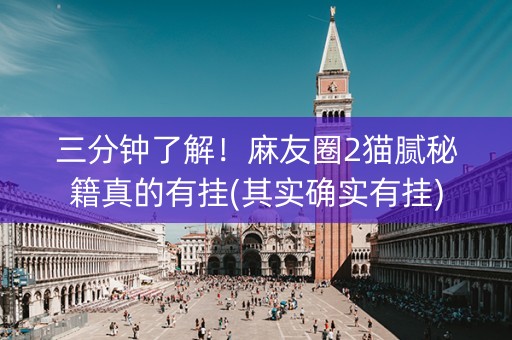 三分钟了解！麻友圈2猫腻秘籍真的有挂(其实确实有挂)